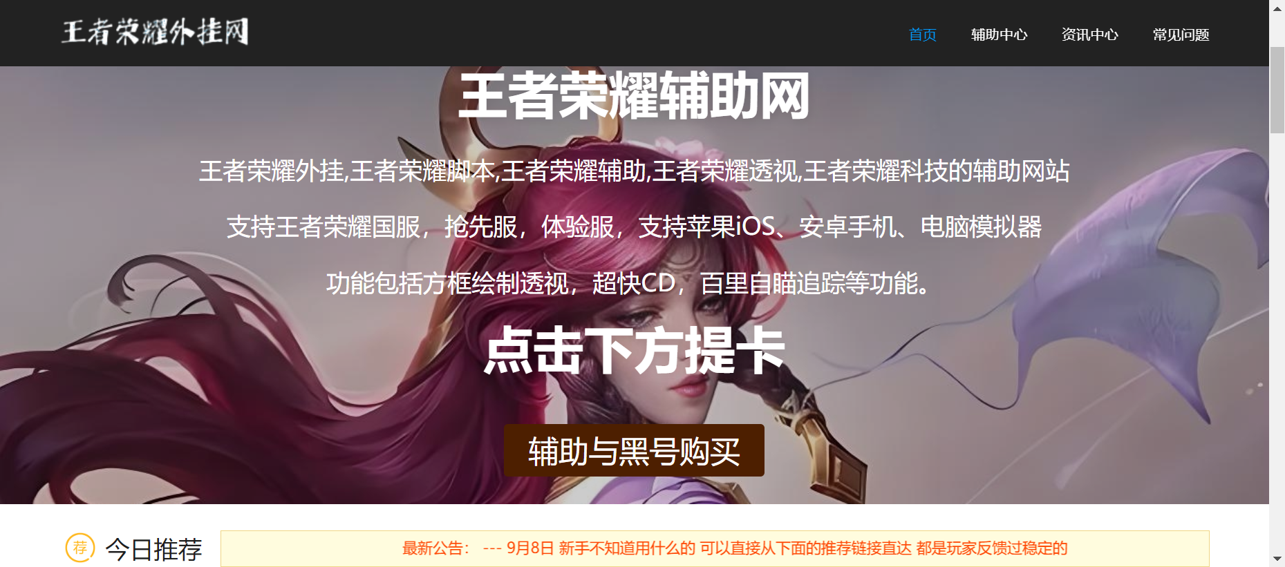 王者荣耀外挂辅助网-24小时自动发卡平台