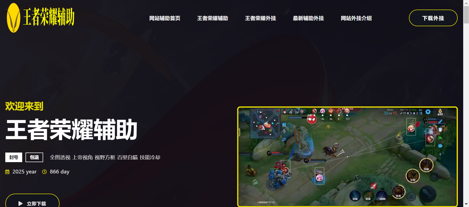 王者荣耀辅助-透视自瞄外挂网